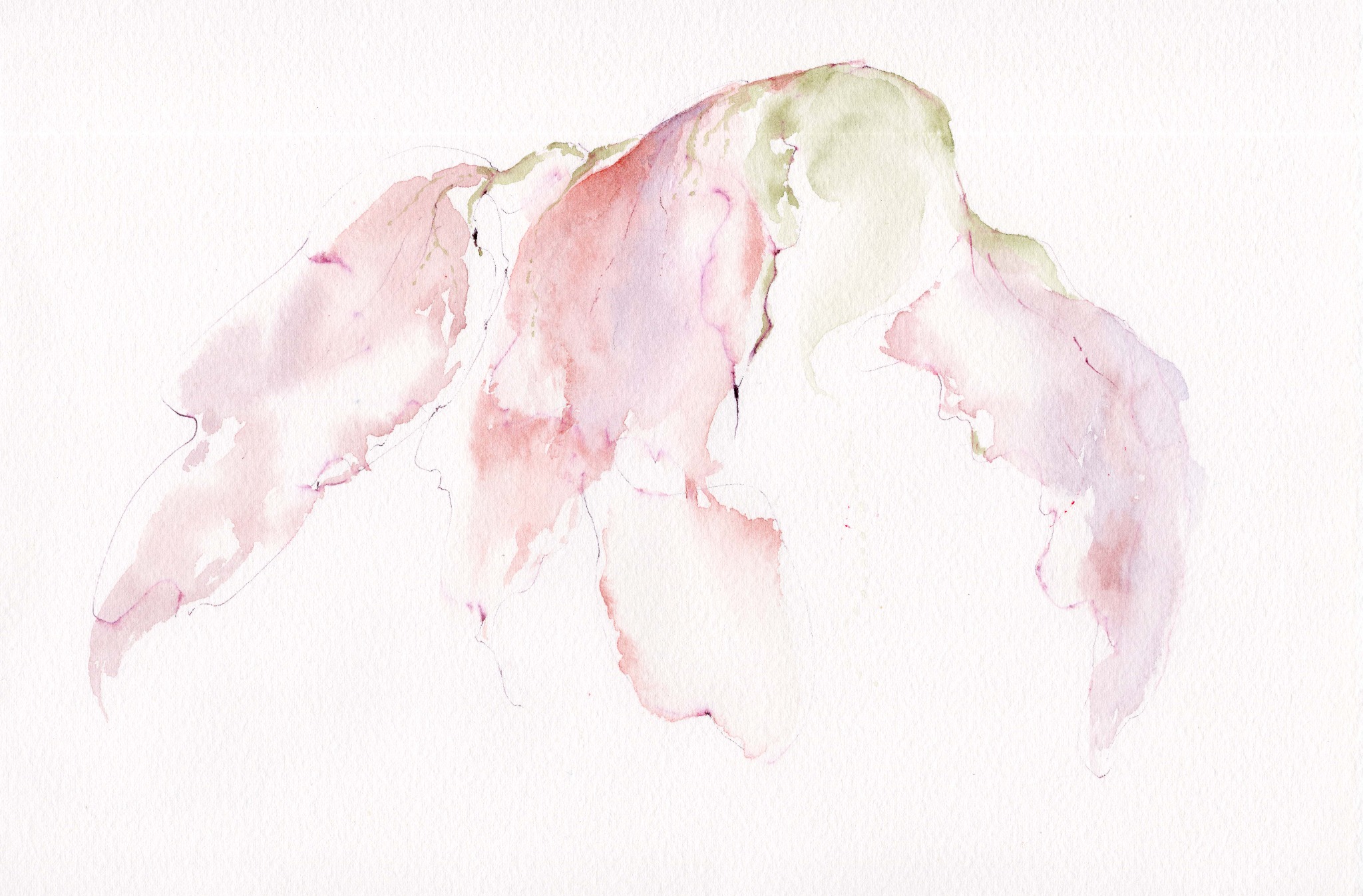 After the Rain, original watercolour artwork by FZ Studio