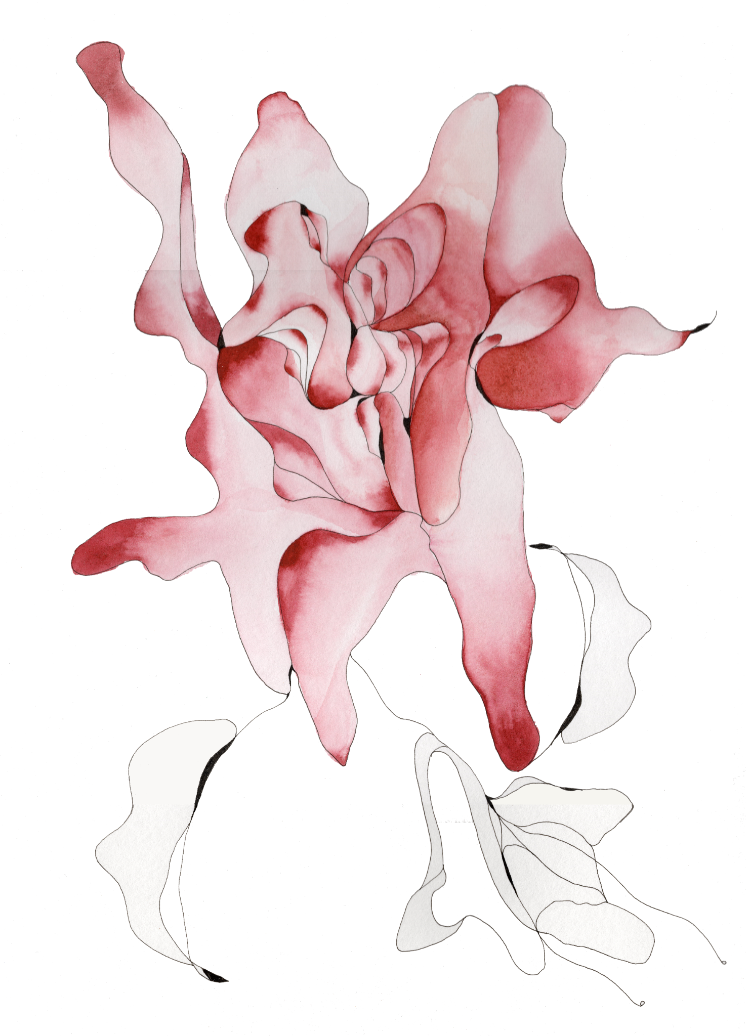 Flore Body, original watercolour artwork by FZ Studio