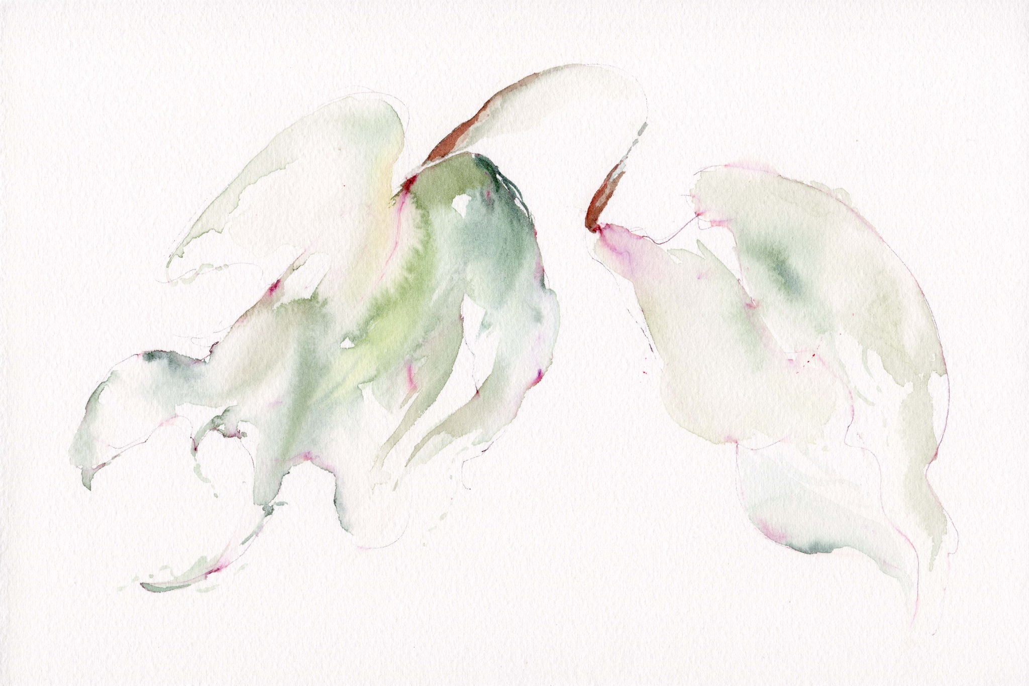 Rainleaf, original watercolour artwork by FZ Studio