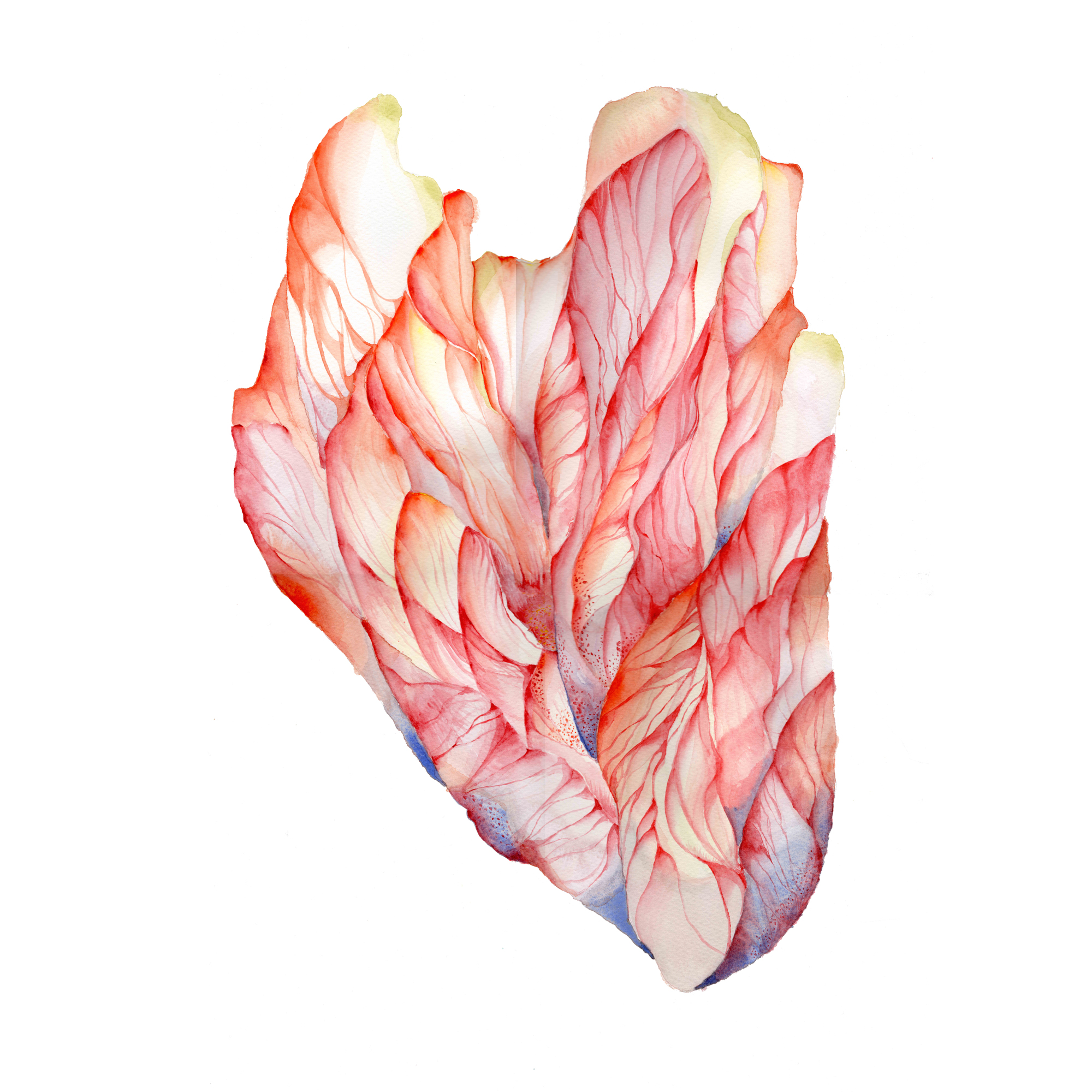 Featured FZ Studio watercolour artwork